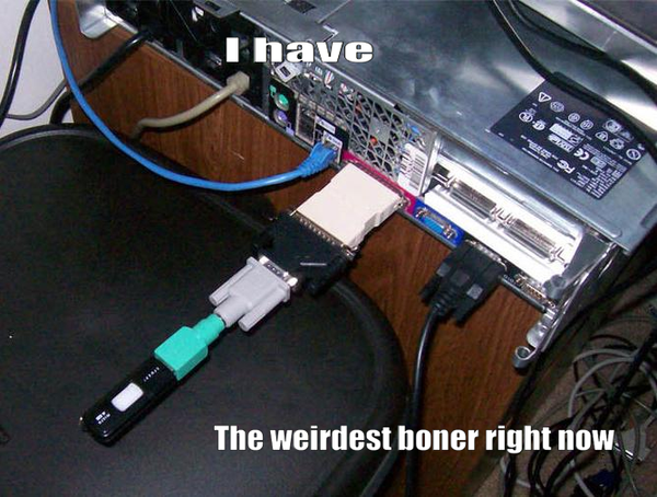 Dongle Boner.png