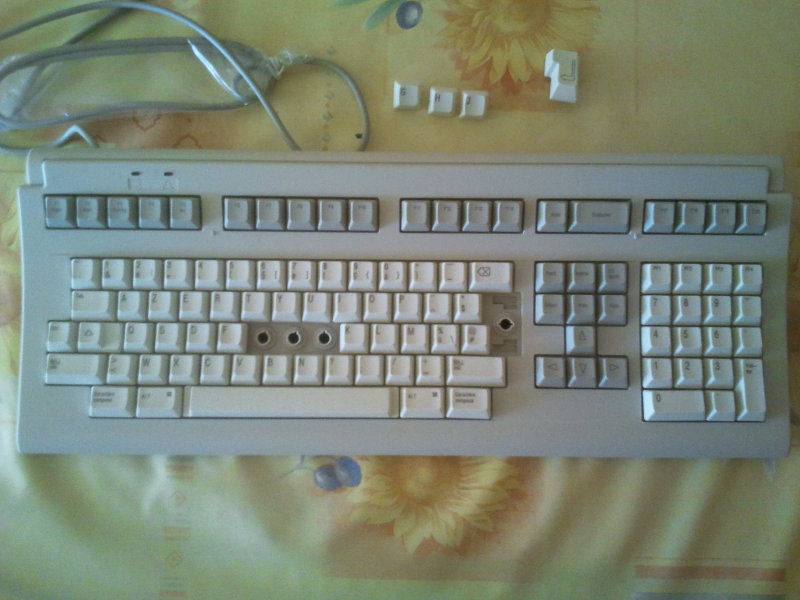 2011-08-15 13.59.02.jpg