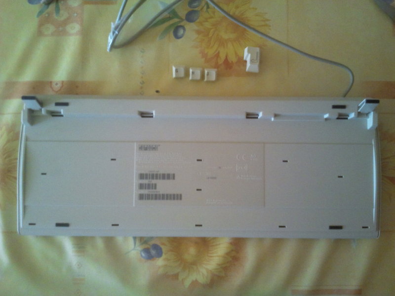 2011-08-15 14.00.15.jpg