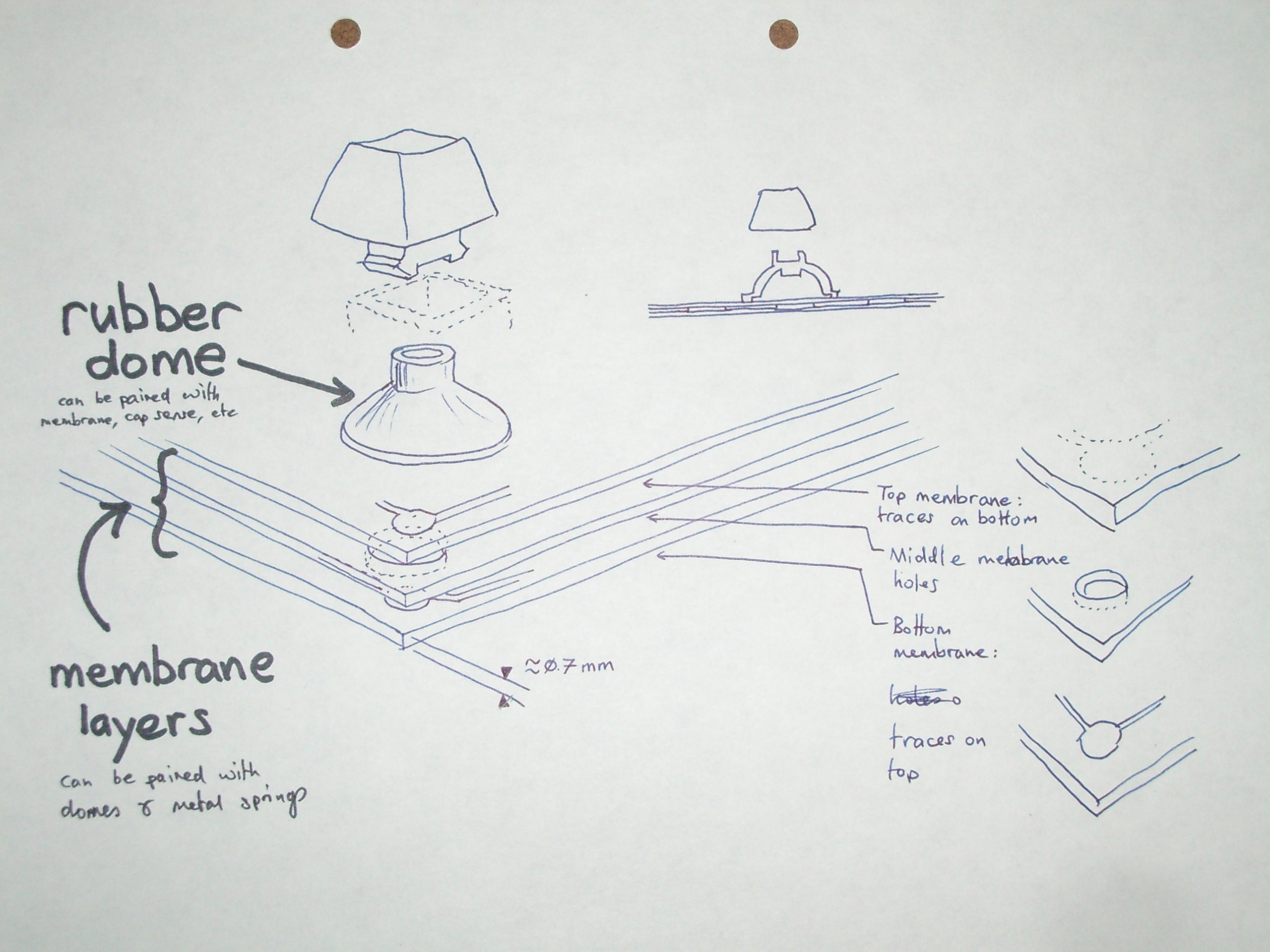 Rubber dome and membrane.jpg