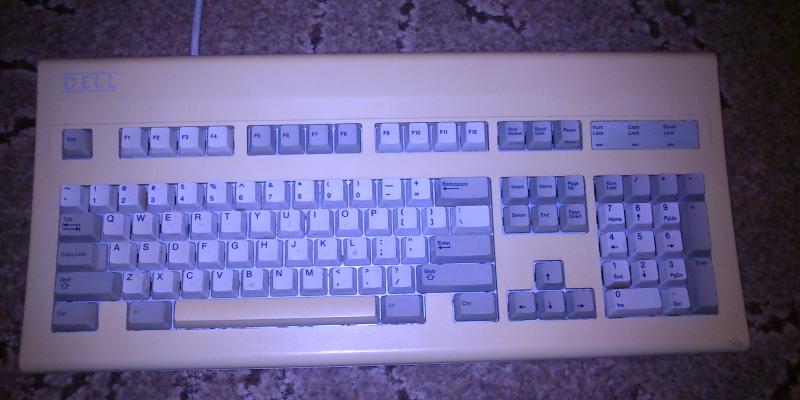 dell-at101_salmon-alps_pbt.jpg