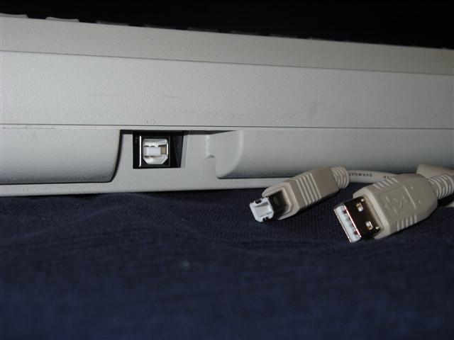 IMG_3737 (Small).JPG