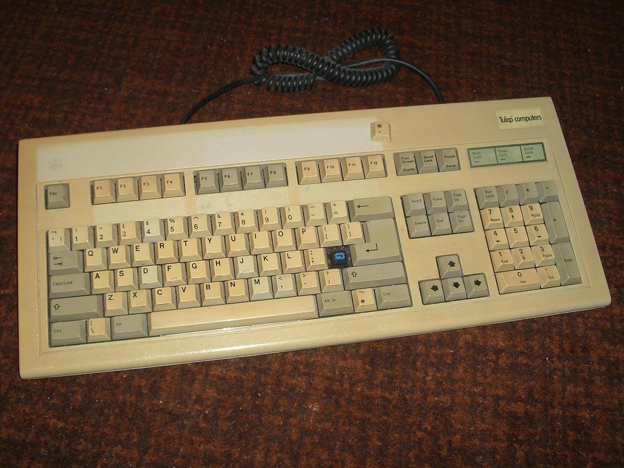 Tulip ATK 030244.jpg