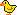 icon_duck2.gif