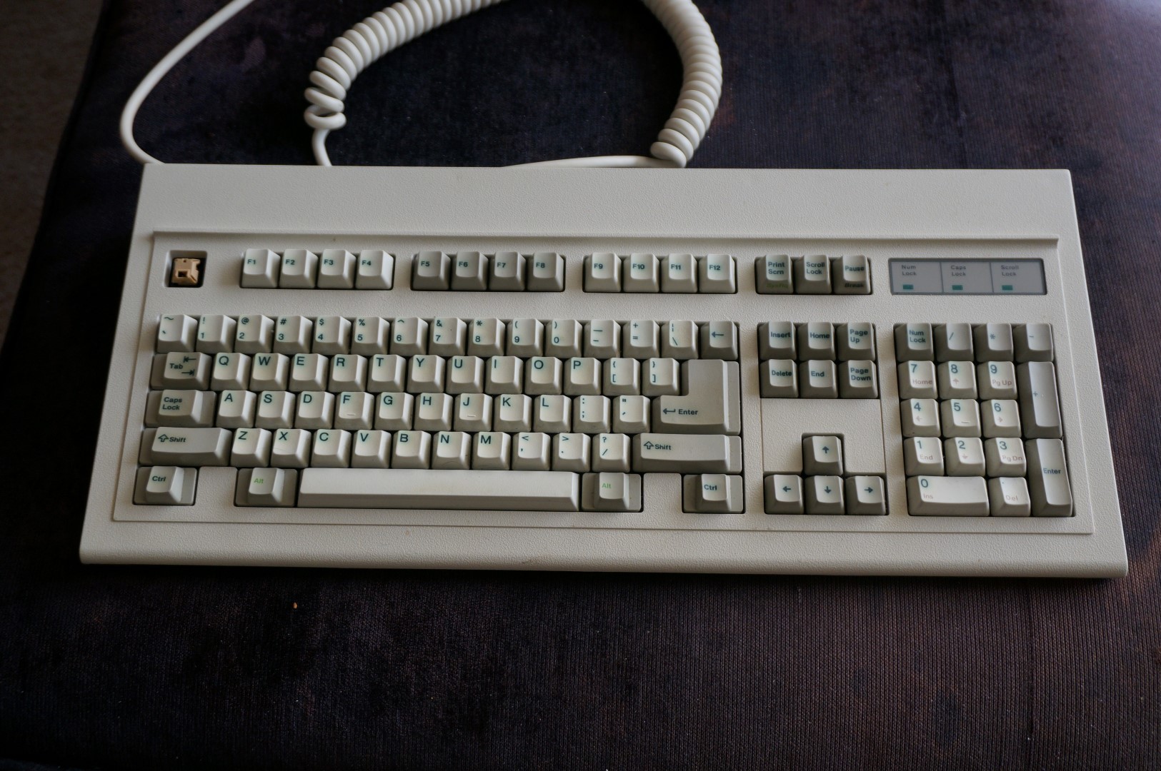 DSC00455 (Large).JPG