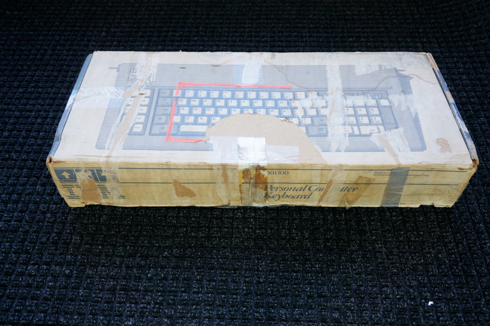 DSC00468 (Large).JPG