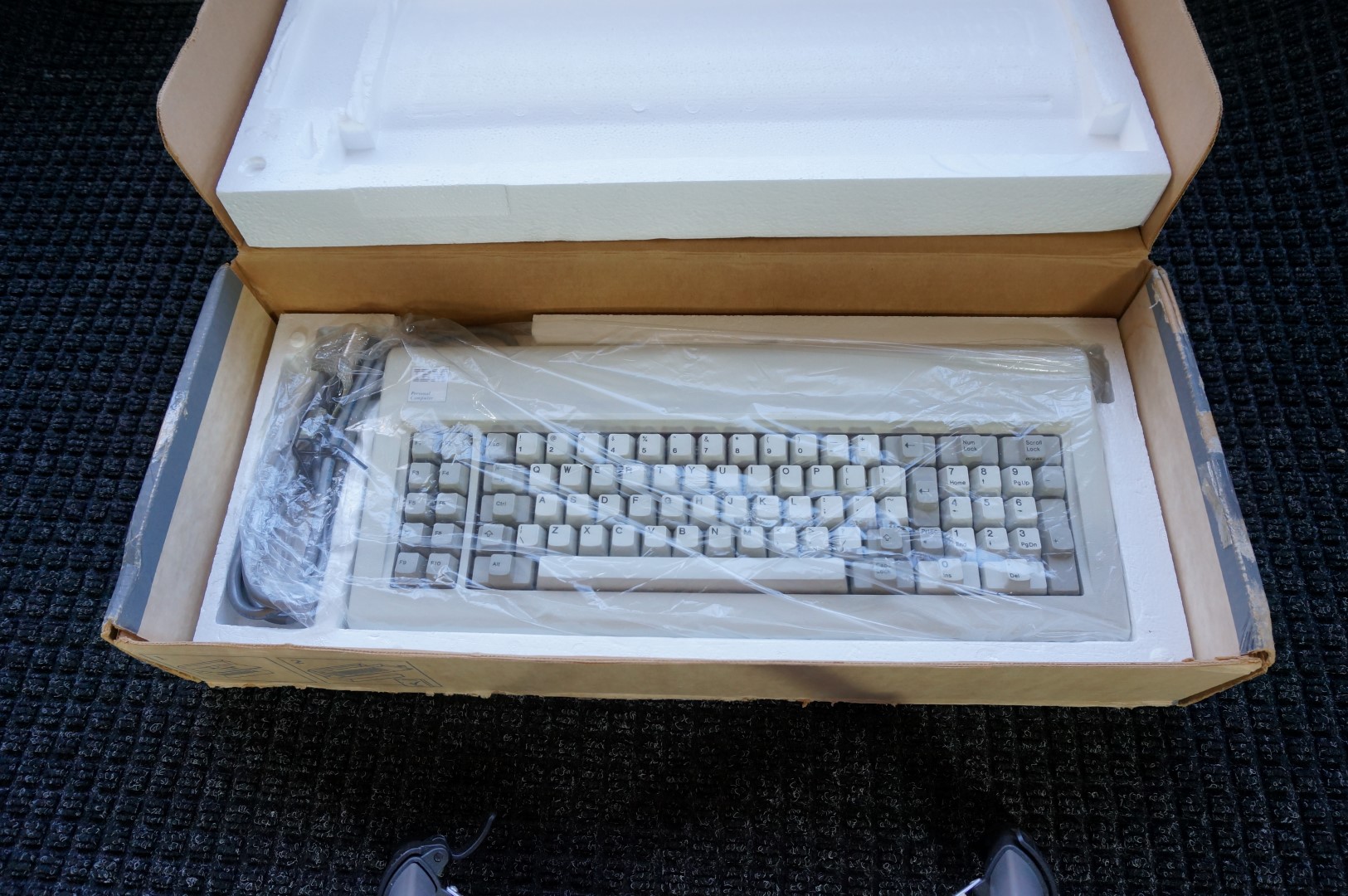 DSC00471 (Large).JPG