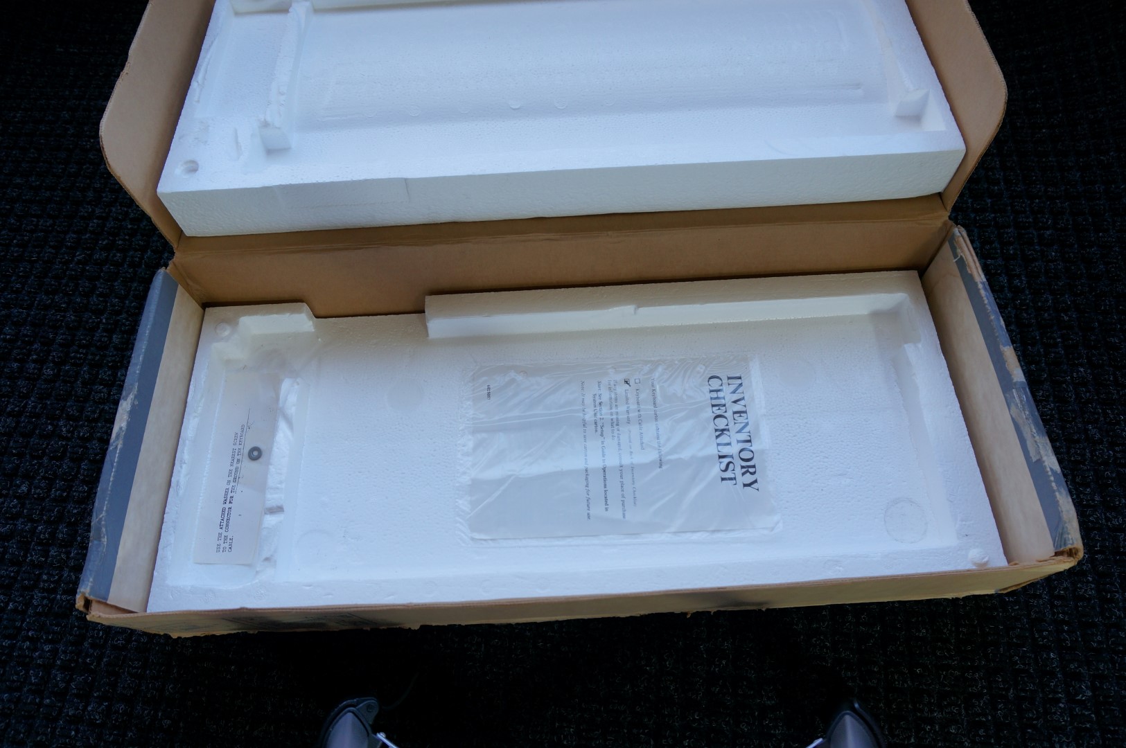 DSC00472 (Large).JPG