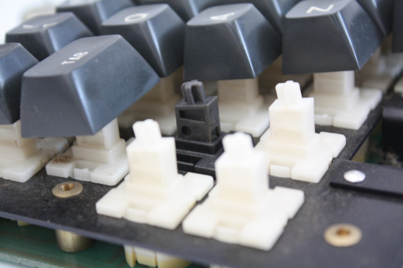 Piped Piper - Caps Lock close up