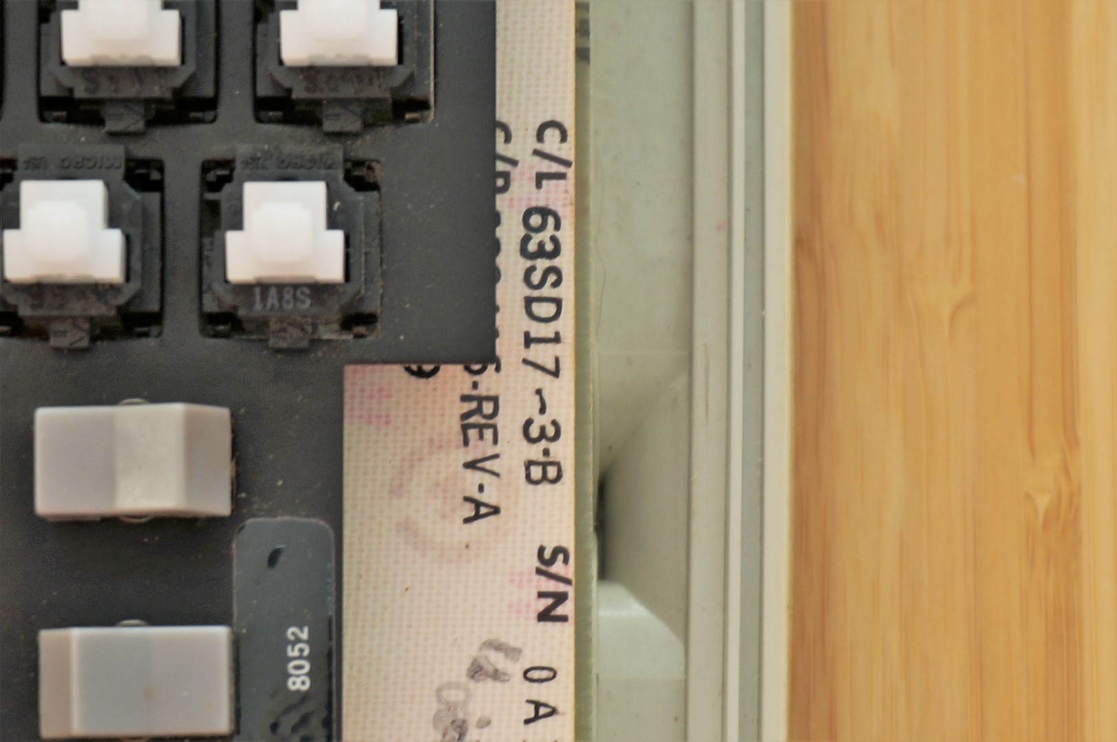 DSC01147 (Large).JPG