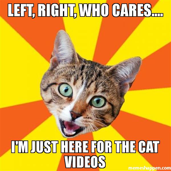 Left-right-who-cares-I39m-just-here-for-the-cat-videos-meme-30273.jpg