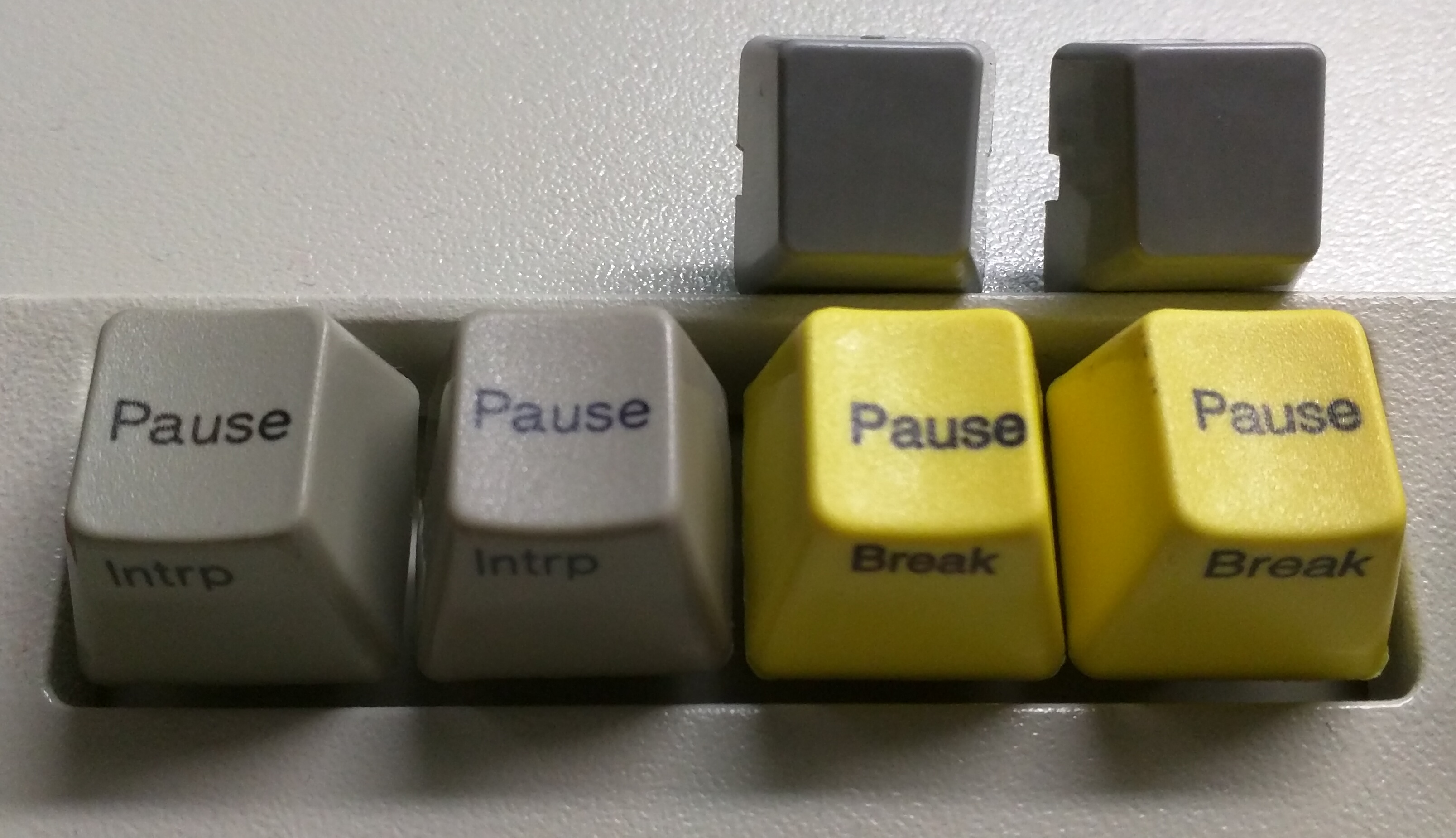 IBM 1989 and Unicomp 2016 keycaps