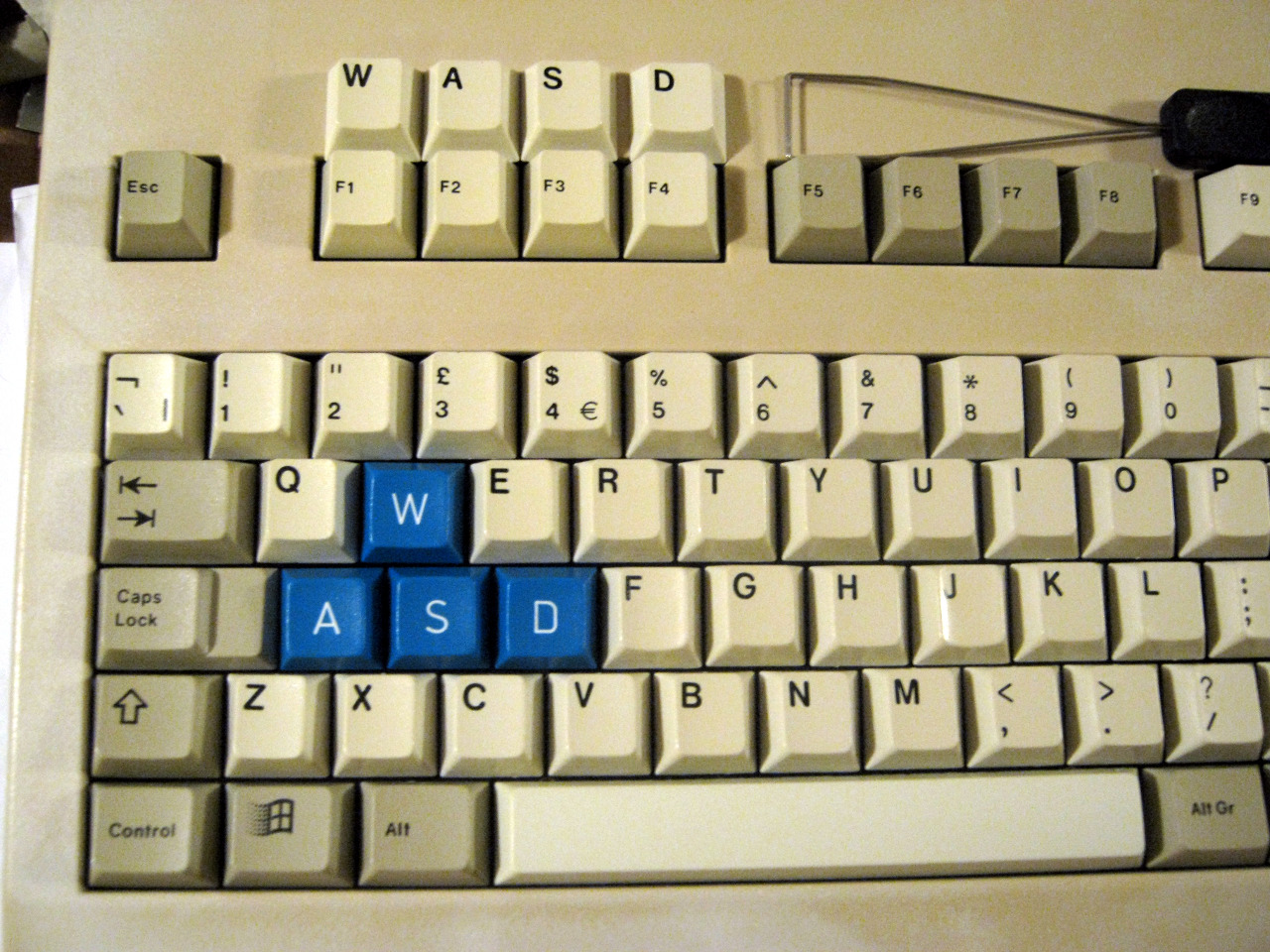 wasd1a.jpg