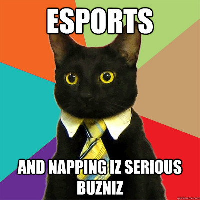 esports-cat.jpg