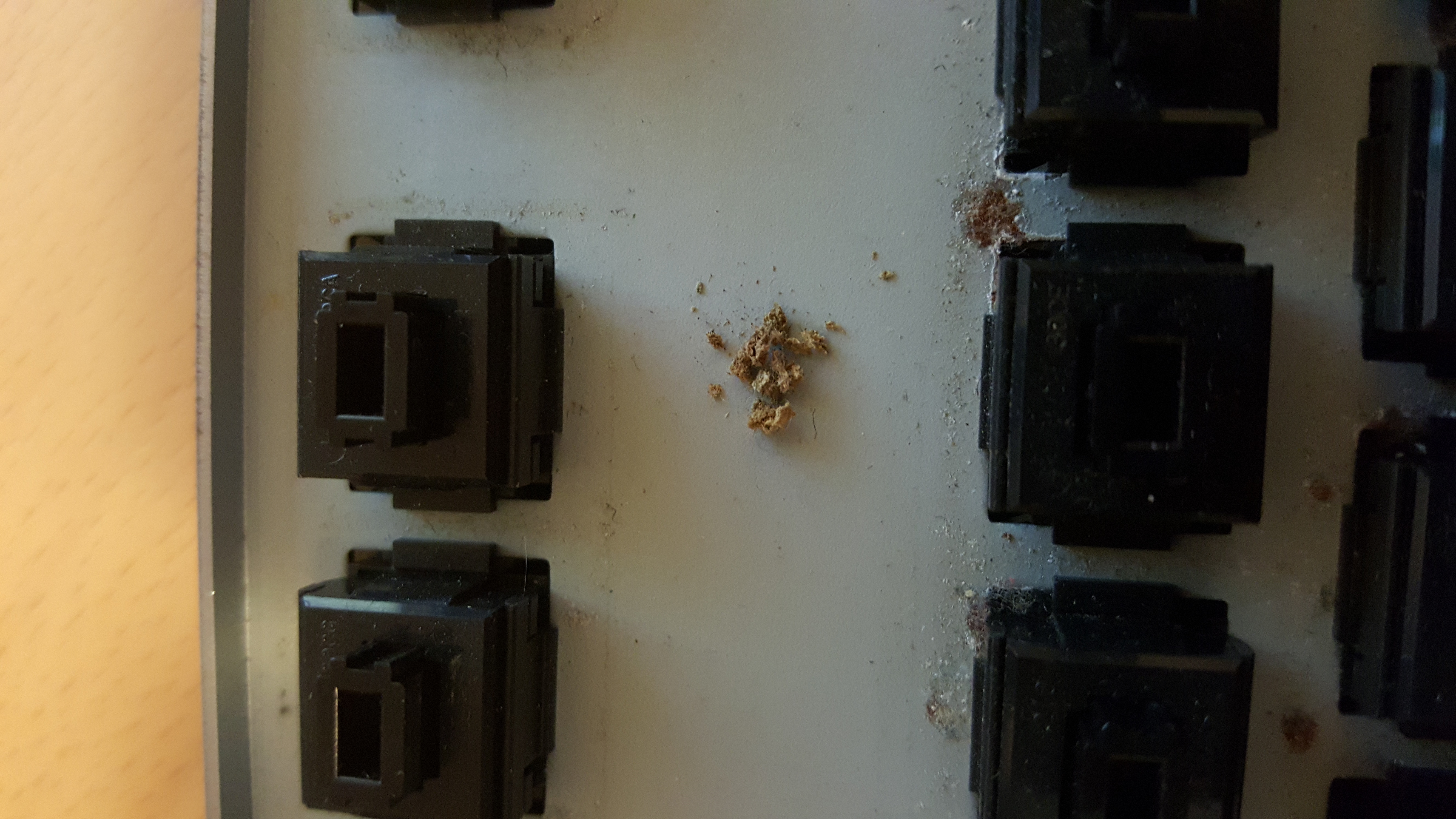 In fact, they must have realllly appreciated their coffee after their daily joint! I wonder if they took the case apart to scavenge periodically when they ran out of pot and were low on funds...