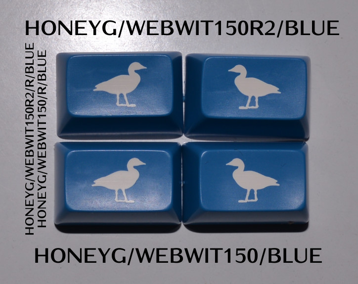 HONEYG_WEBWIT150_BLUE.jpg