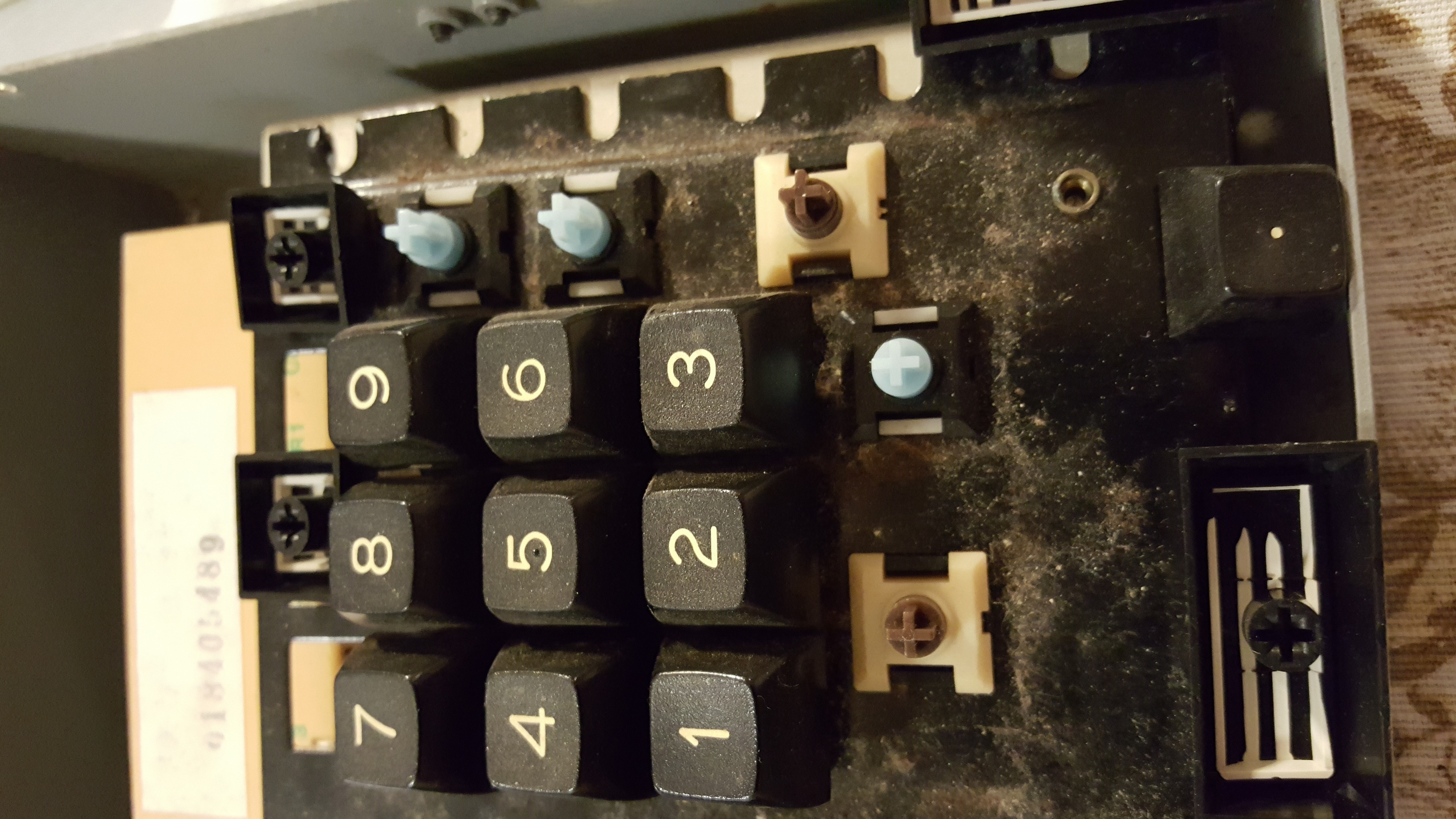 The brown ones under the larger keys are stiffer than the blue switches on the rest of the board, and the angled-stem brown switch under the space bar is stiffer even still.