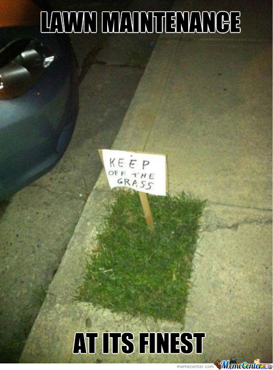 nice-lawn_o_2129621.jpg