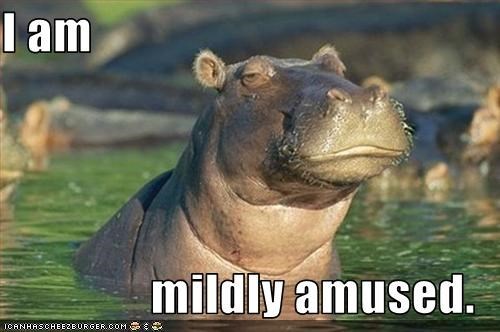 post-30342-I-am-mildly-amused-meme-hippo-lz7x.jpeg