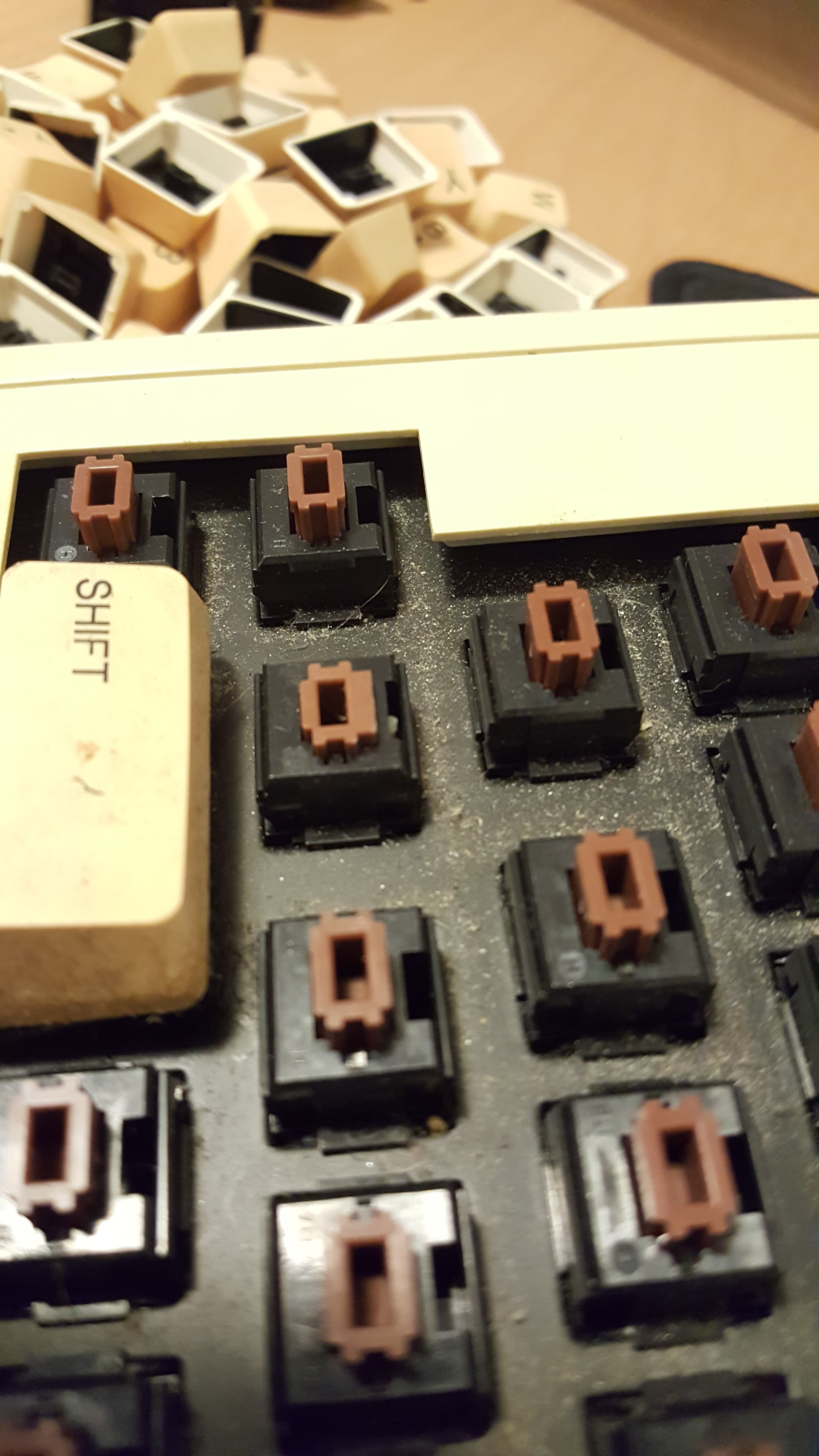 There's that wonderful little brown lock switch! I bet you're worth a pretty penny on your own little buddy. You're staying with me for now though.