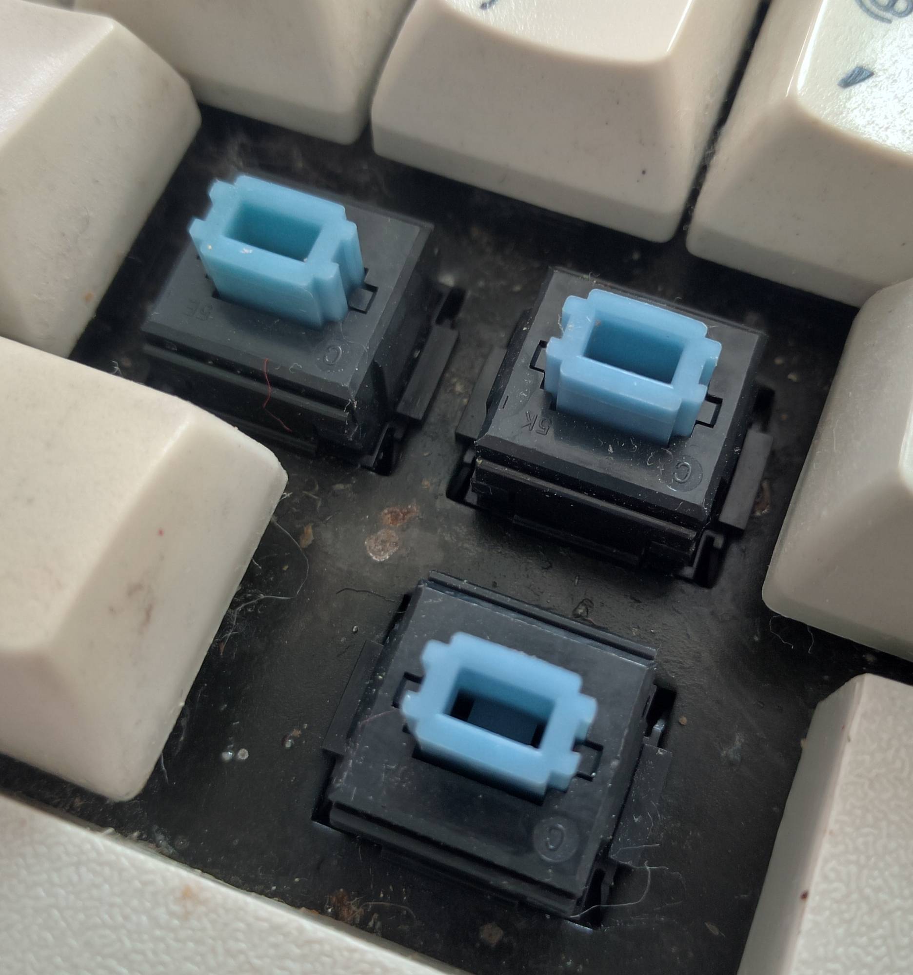 focus_fk555_switches.jpg