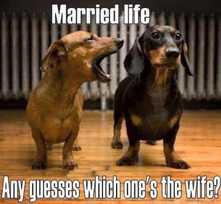 4-guess-which-one-s-the-wife-funny-meme.jpg