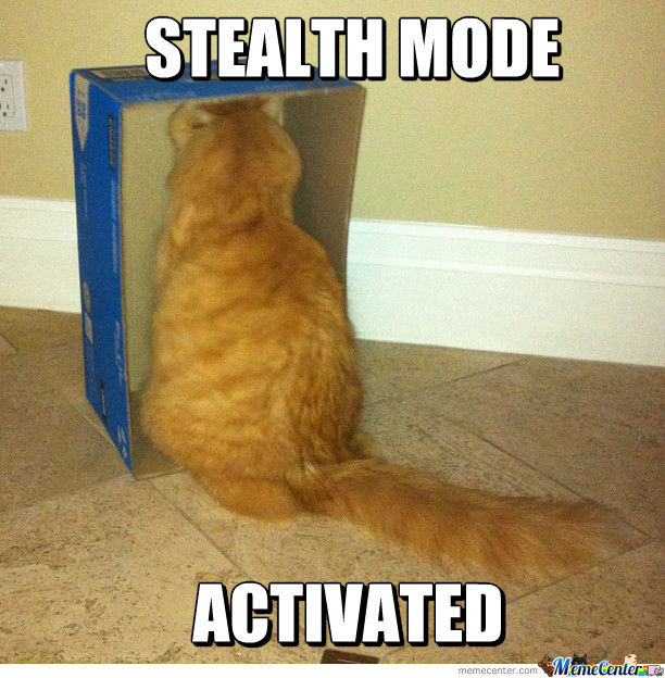 stealth-mode-activated_o_1168408.jpg