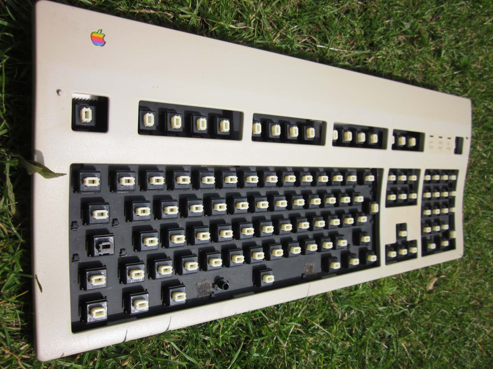 4 aekII capless, stock = rotated switches.JPG