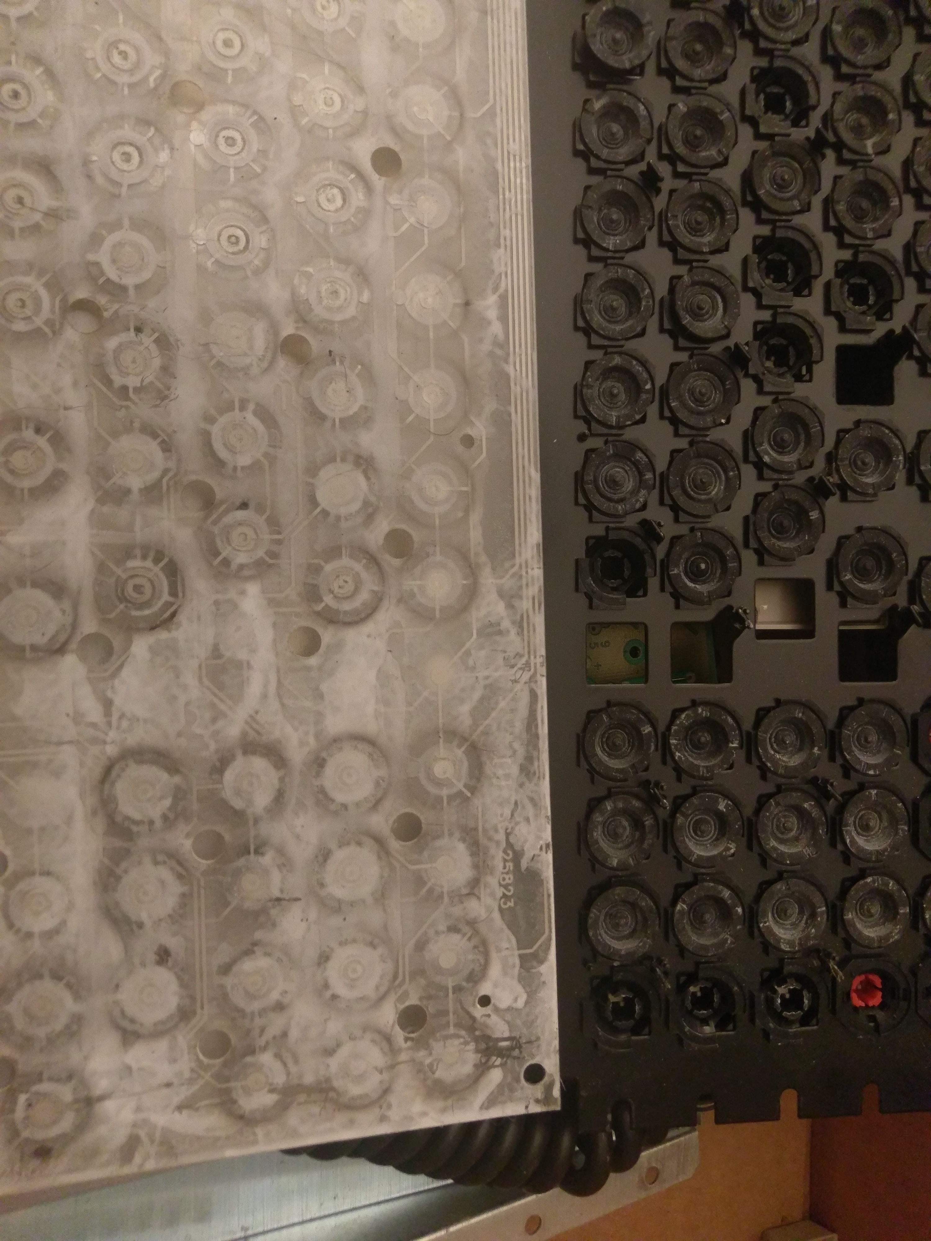 2017-11-11 00.12.46.jpg