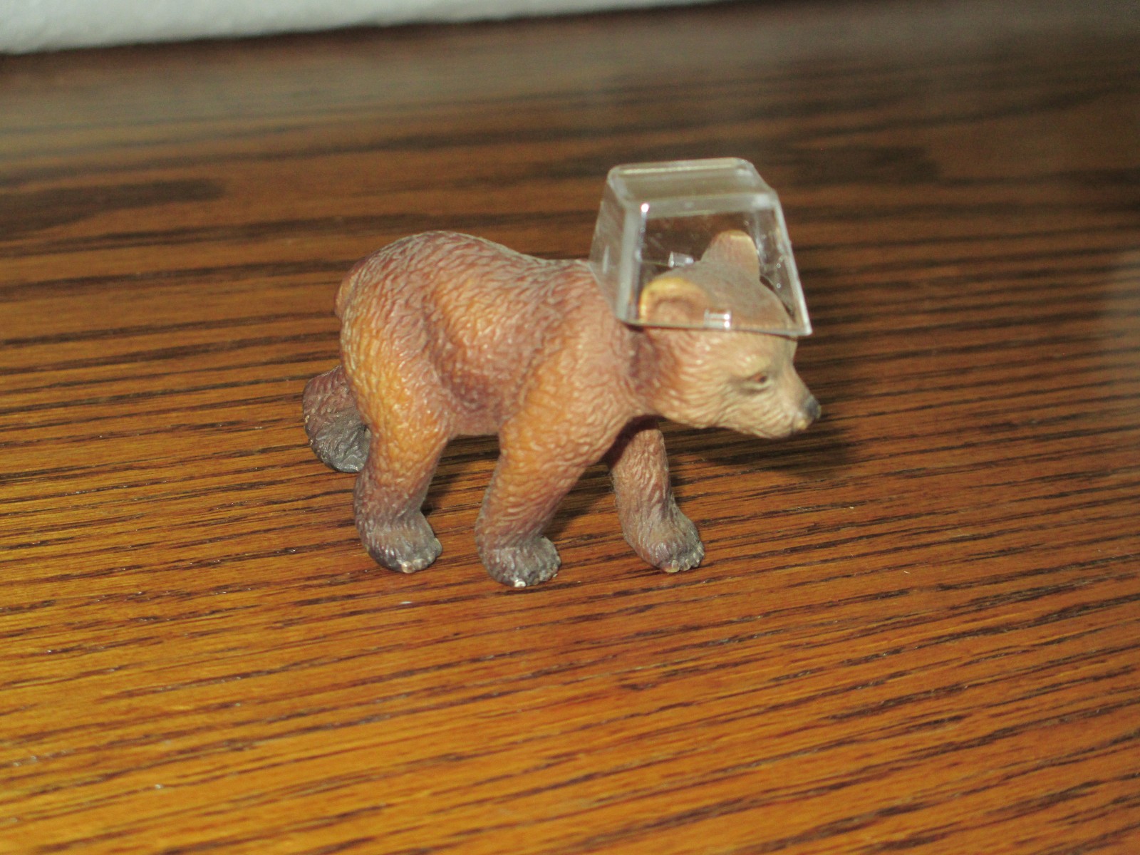 Bear cub with a Devo complex — Fentek cap.