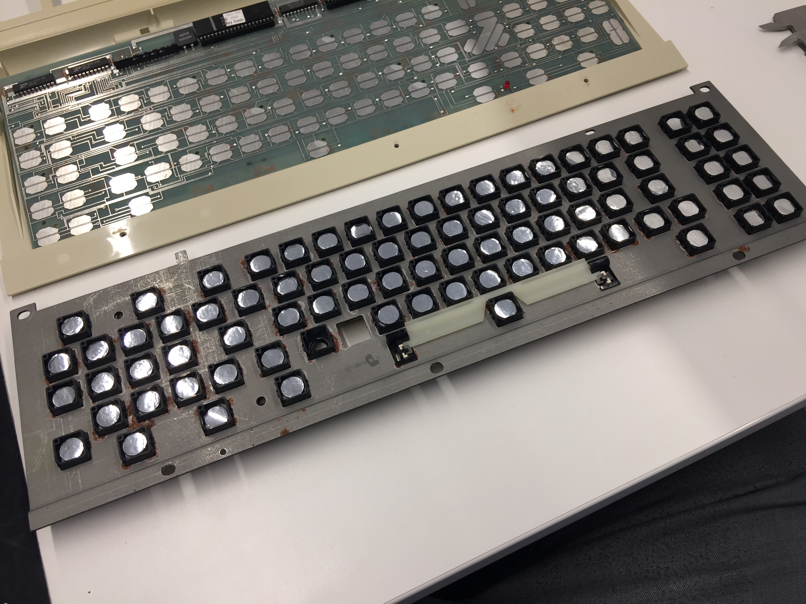 Back of the plate with some switches either partly or completely removed.