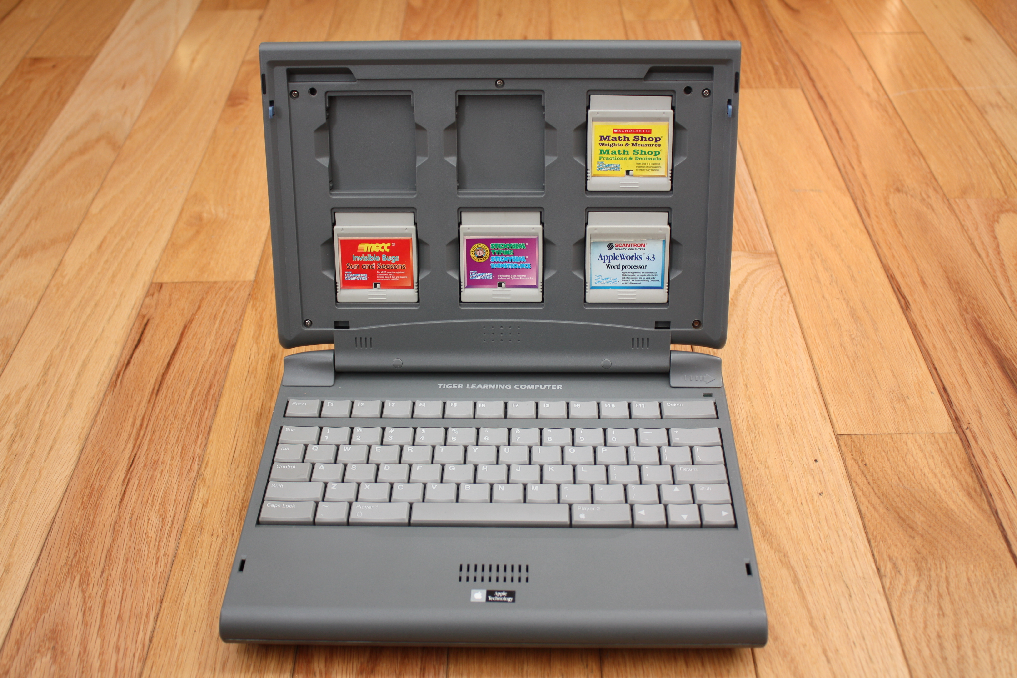 Tiger Learning Computer