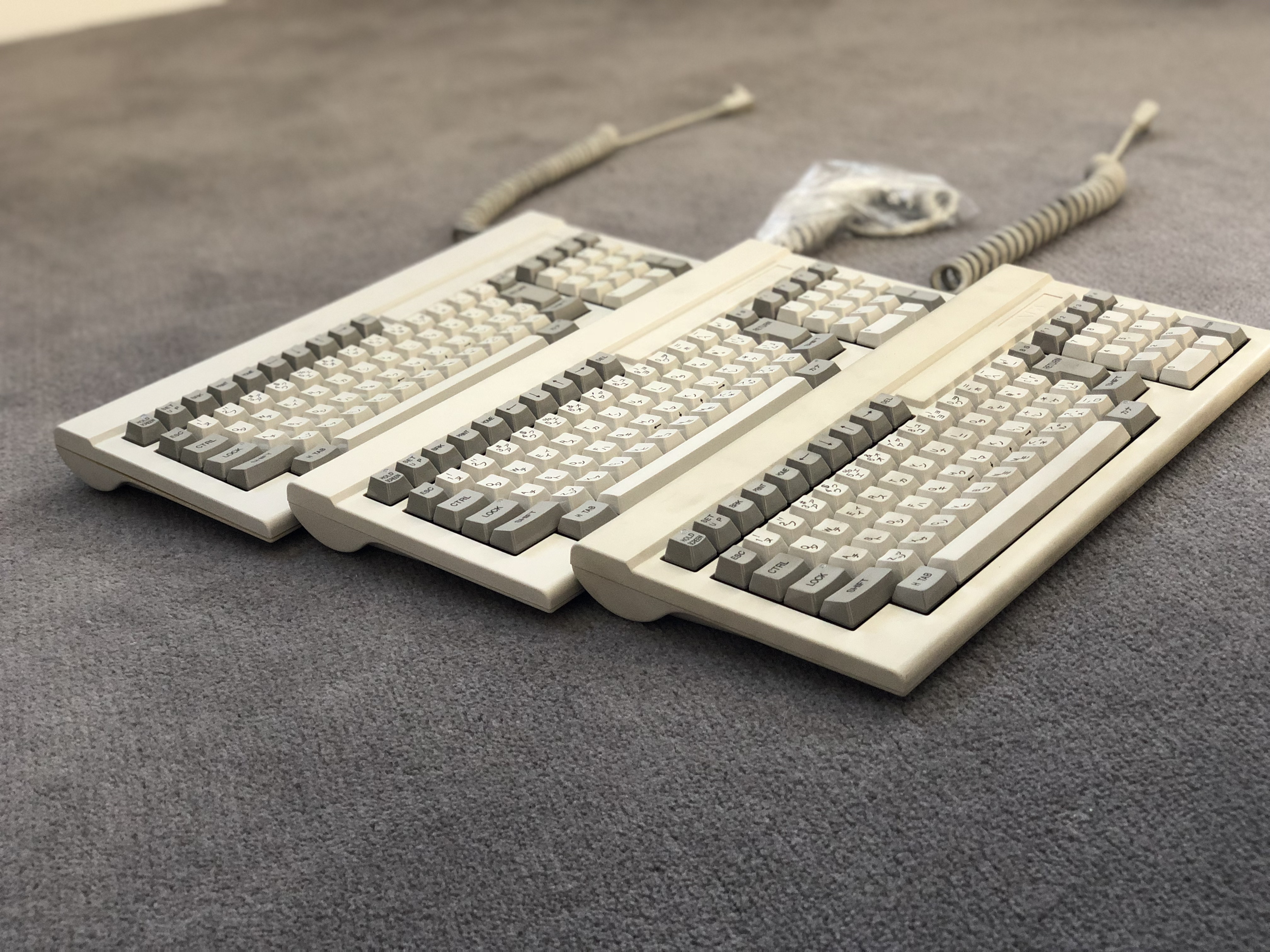 Photo 25-9-18, 5 03 22 pm.jpg