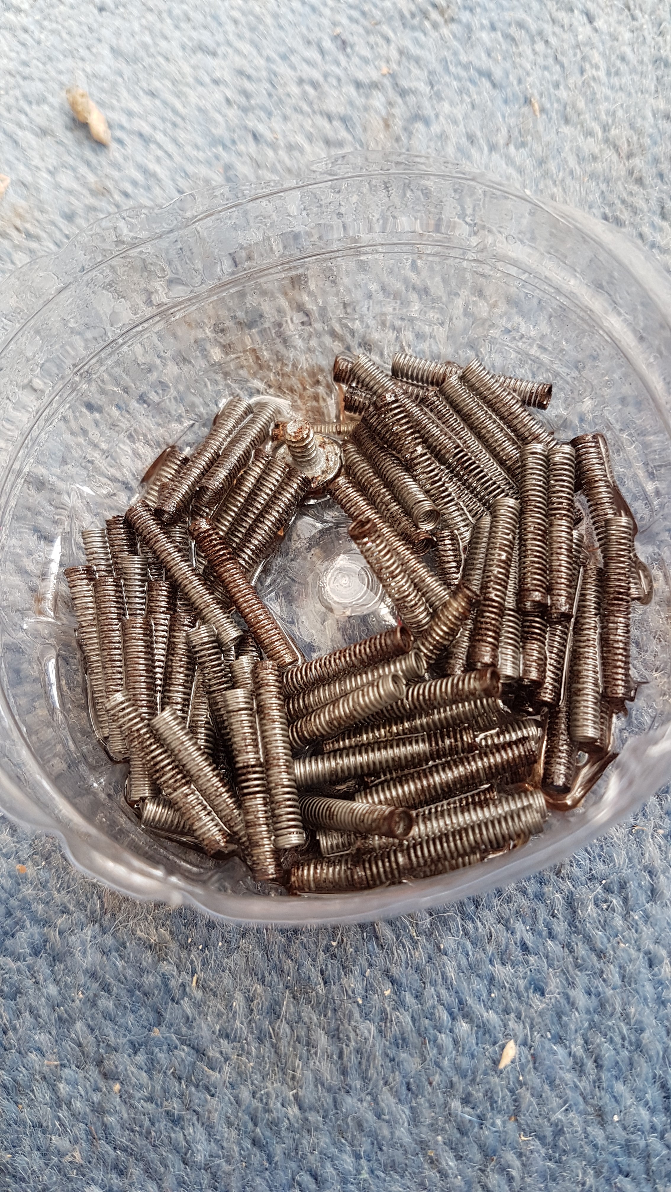 springs in wd40.jpg