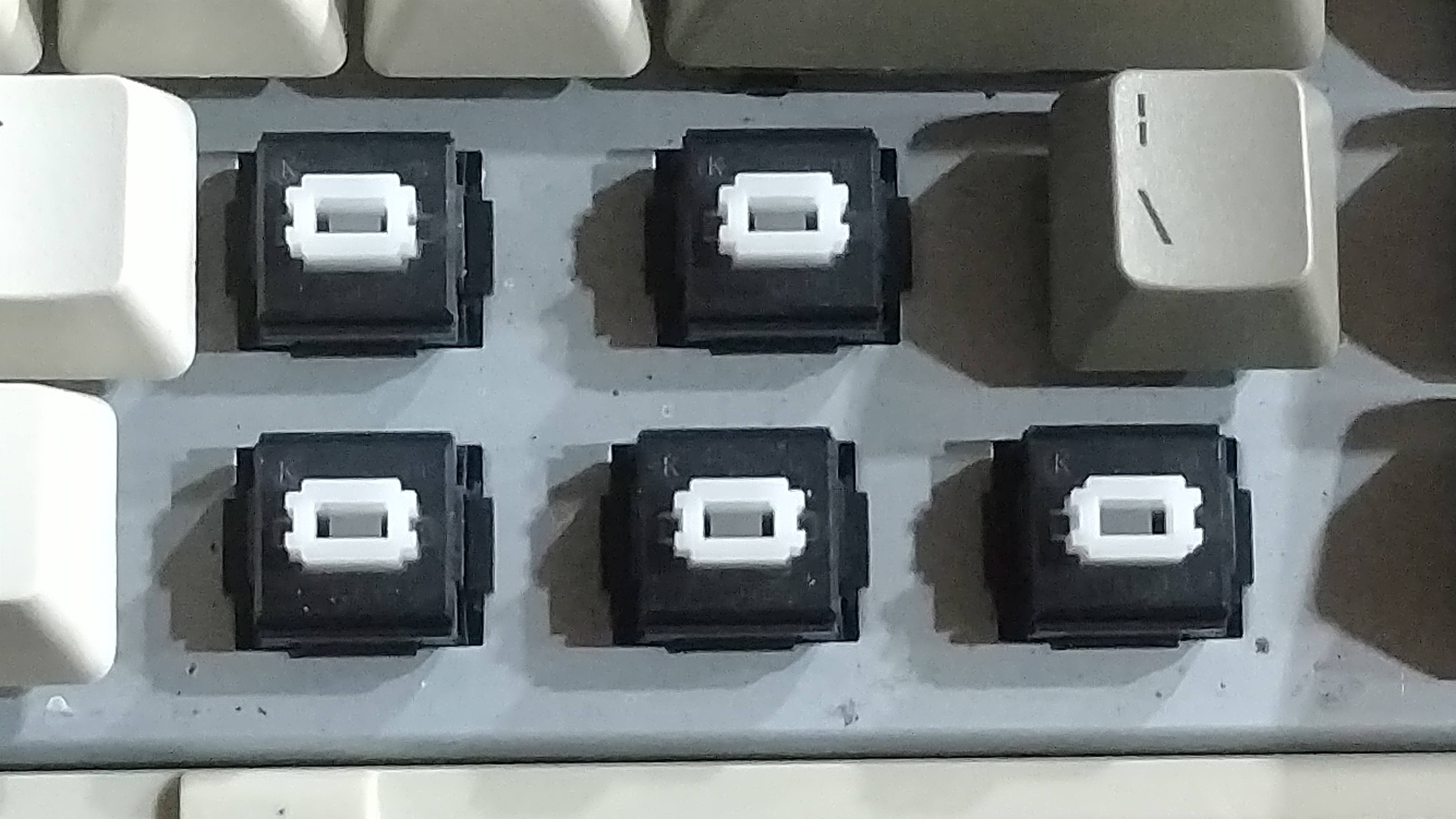 Plastic Omnikey 101 Switches.jpg