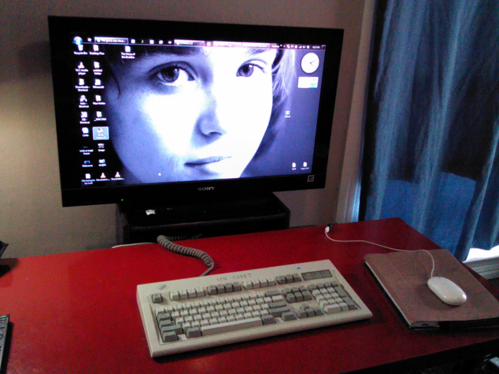 IMG_20121102_161320 (1024x768).jpg