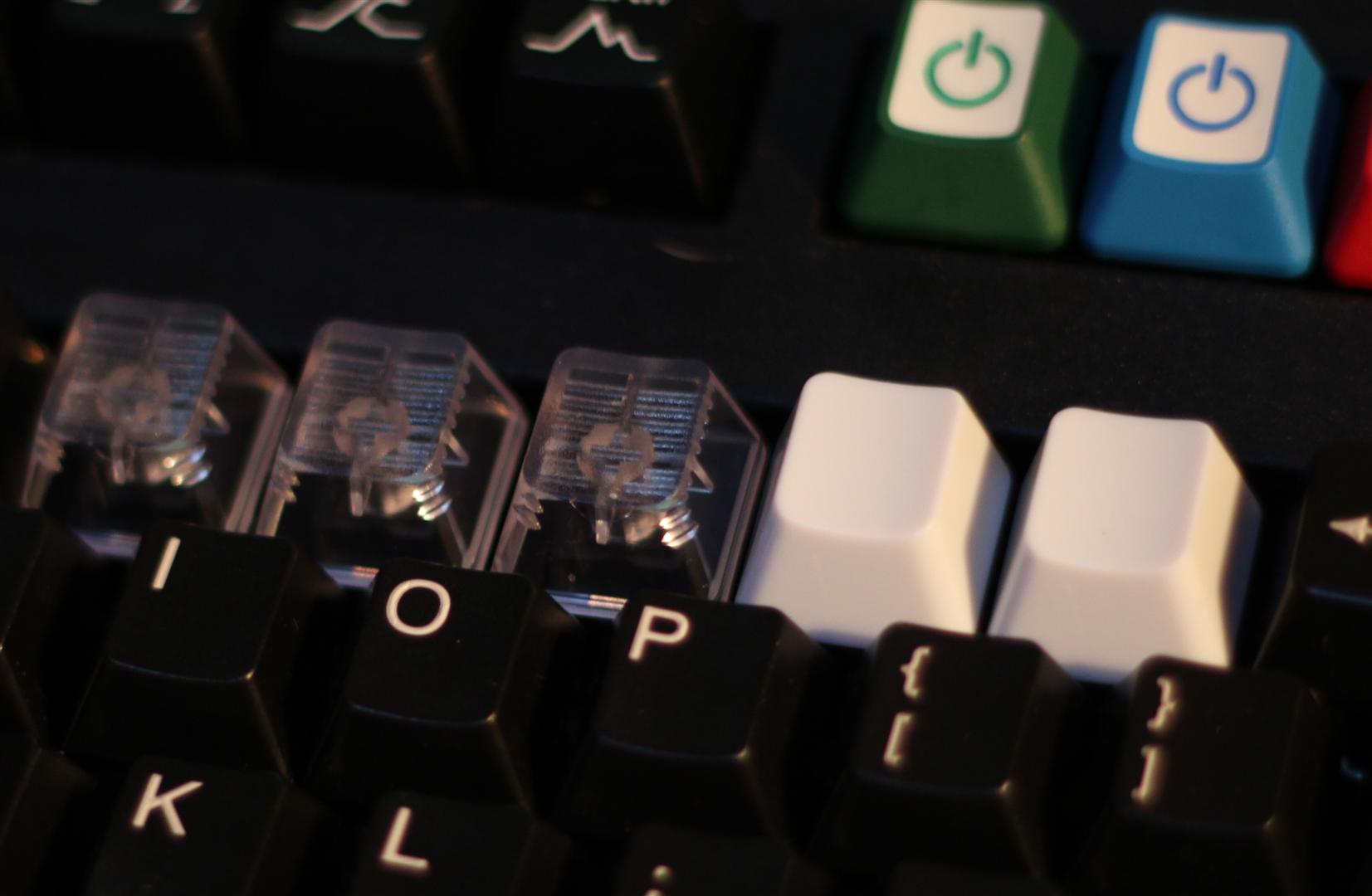 IMG_4809 (Large).JPG