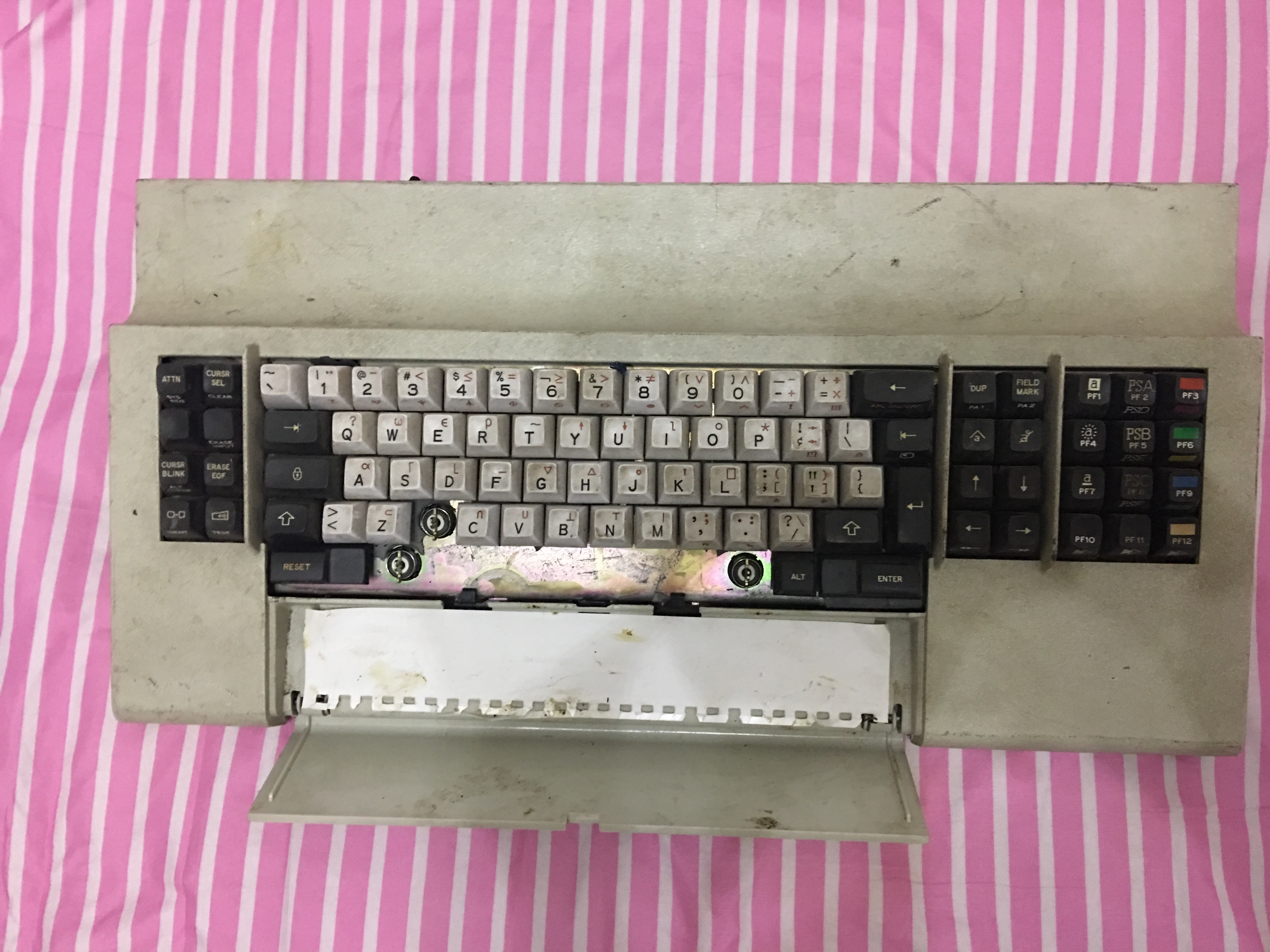 Viewing from the front 3