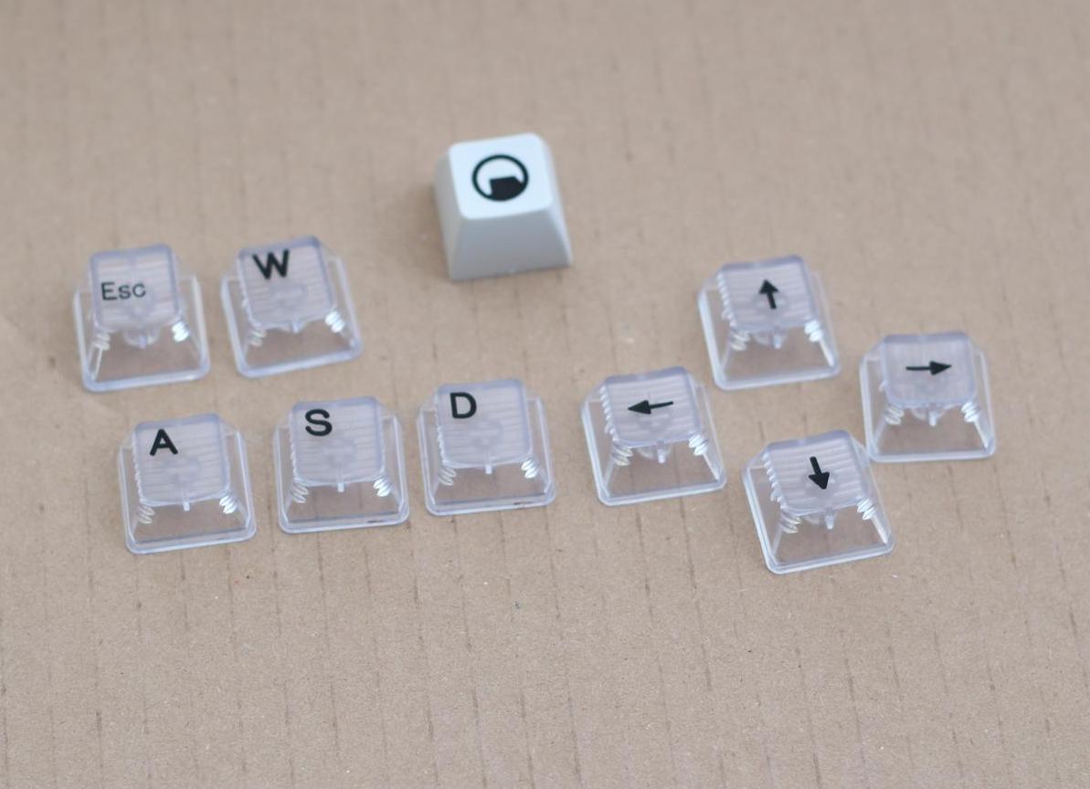 IMG_4826 (Large).JPG