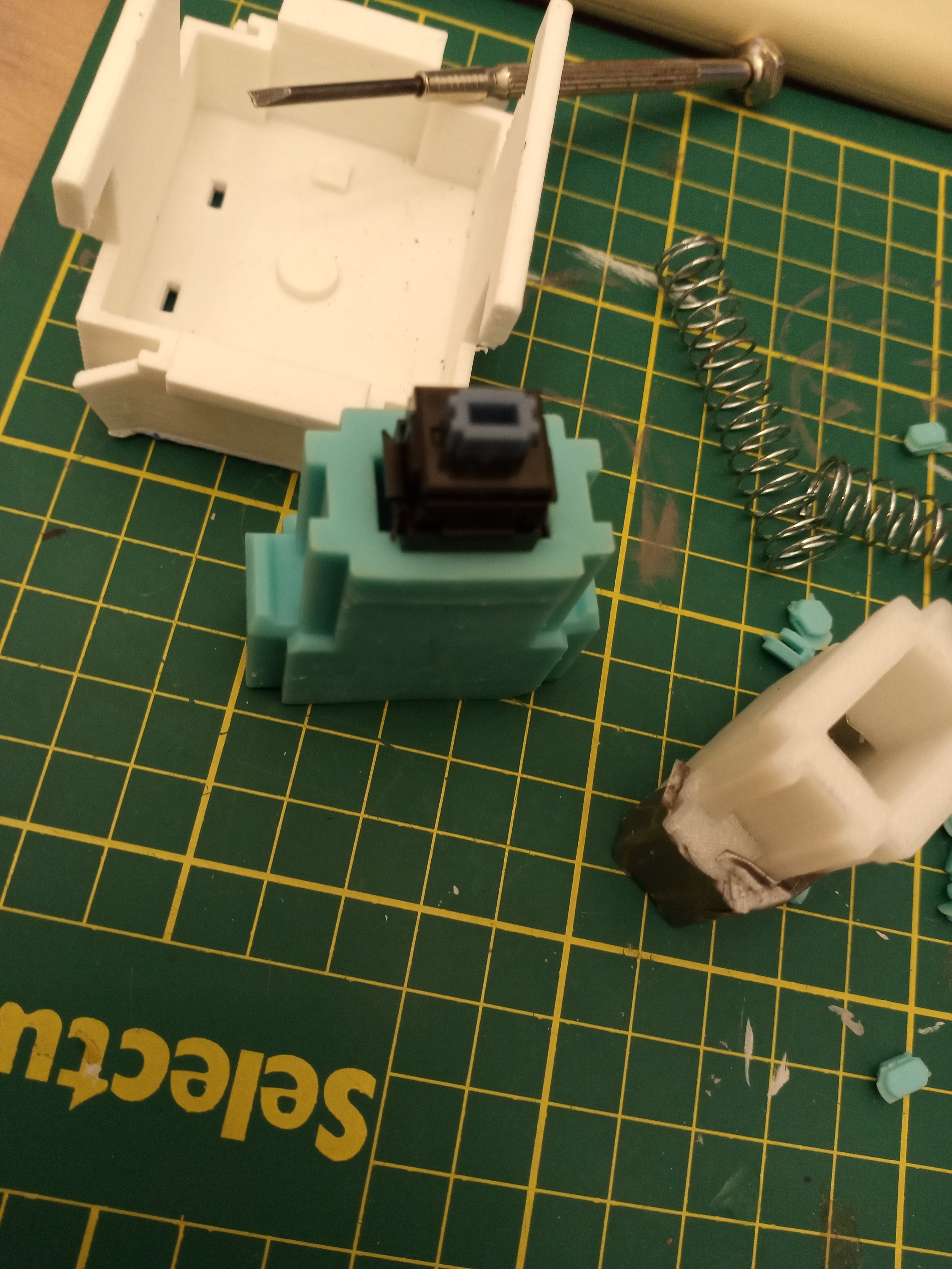 stem 1 colour compare.jpg