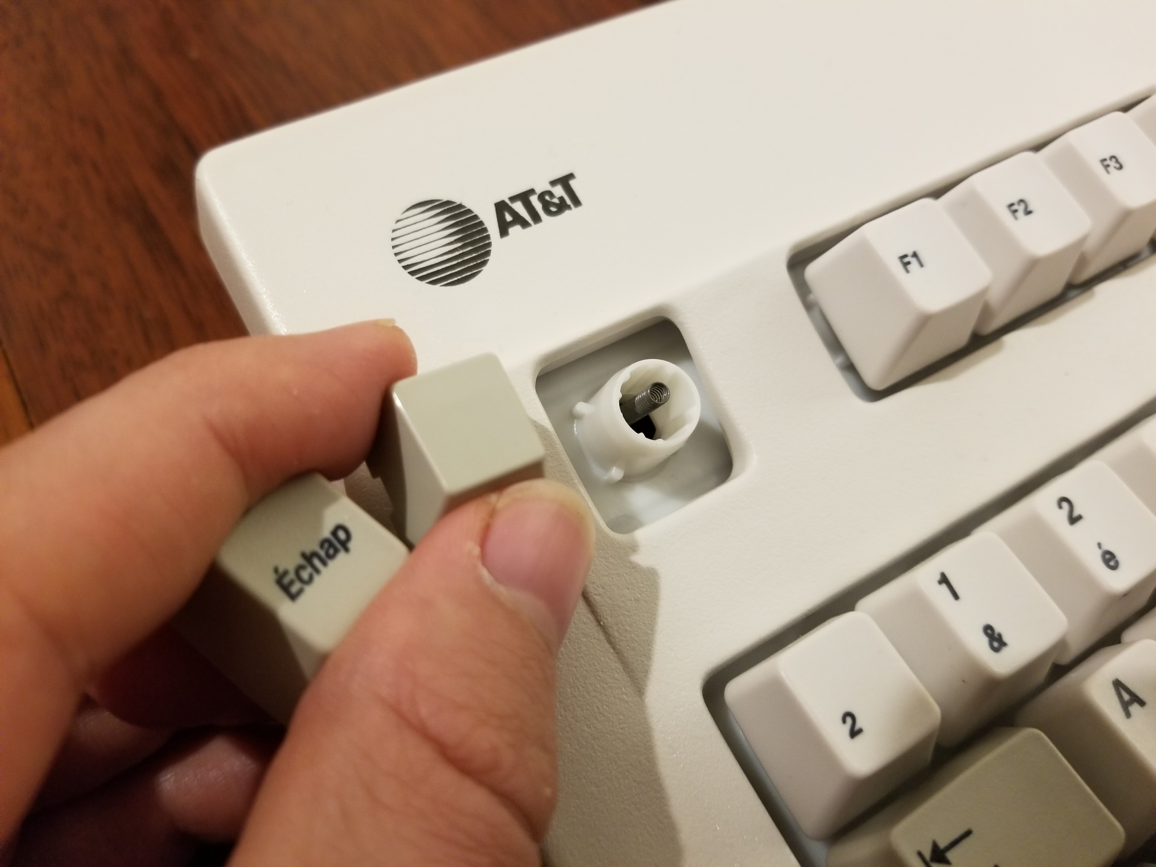 2021-08-10 16.18.16.jpg