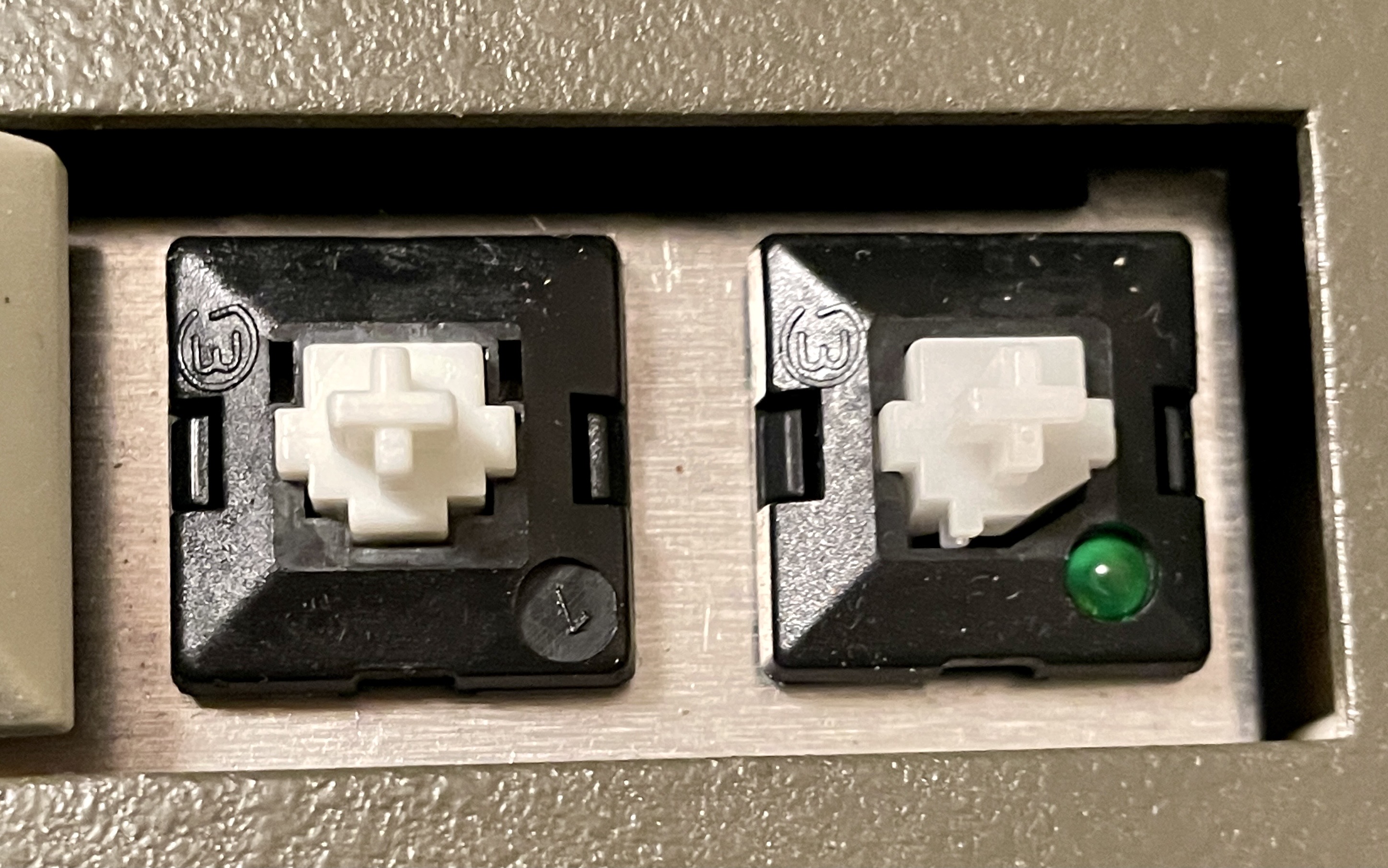 W Switch Closeup.jpeg