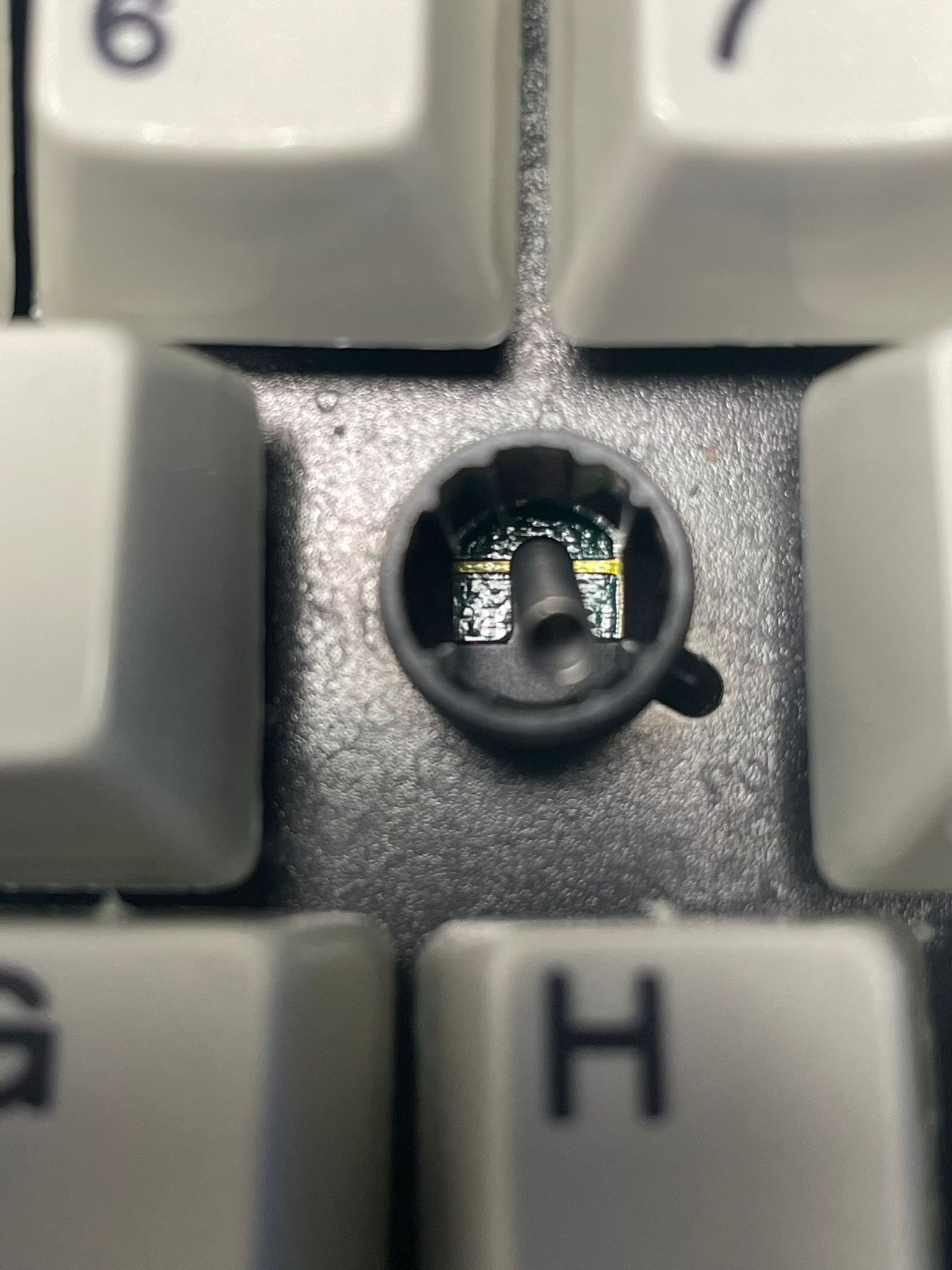 WhatsApp Image 2025-08-09 at 18.52.18.jpeg