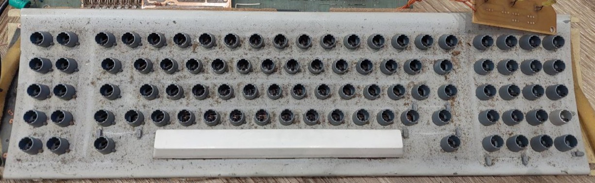 photo_2025-08-12_16-45-16 (2).jpg