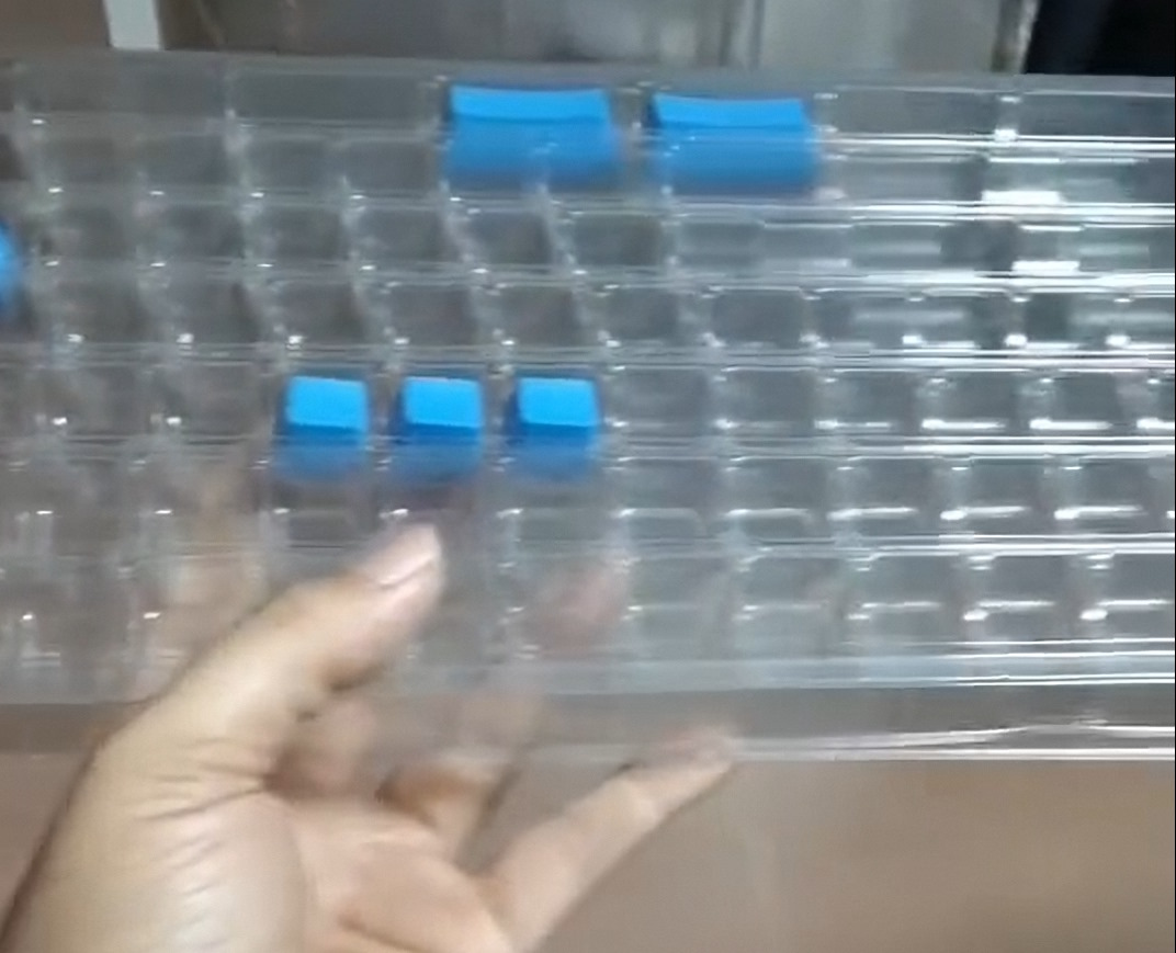 2025 12 04 blister packaging.jpg