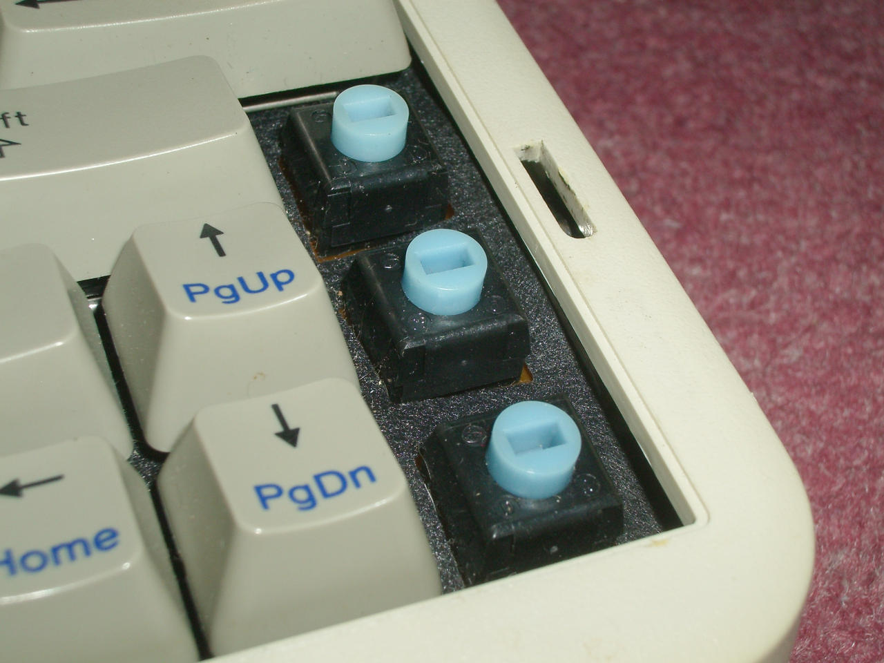 Alps rubber-dome-in-a-box switches top.jpg