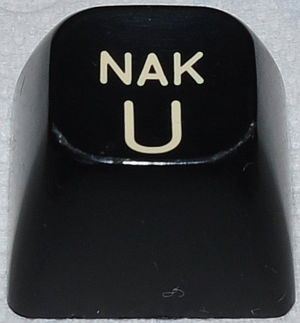 NAK_U_001.jpg