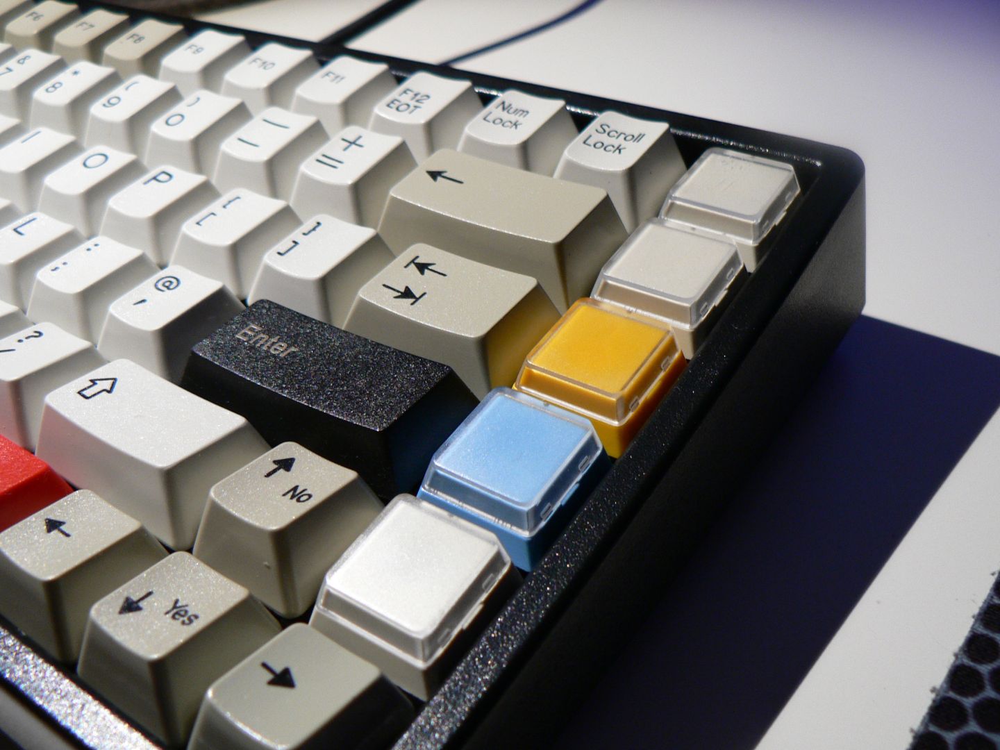 tipro at choc mini.jpg