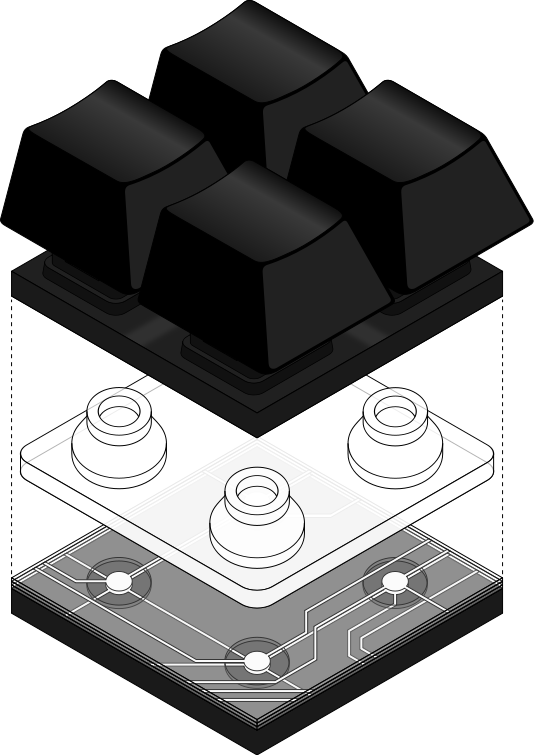 Rubber dome over membrane.svg