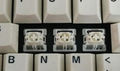 Katano switches -- close-up.jpg